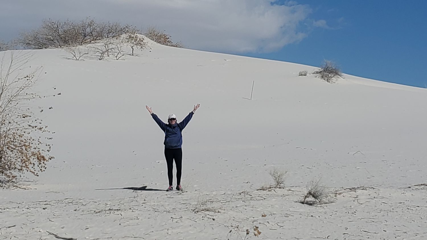 White Sands Playa and Dune Life Trails 